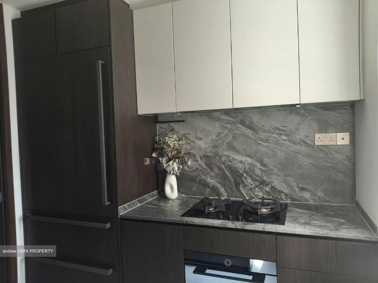 Leedon Green (D10), Condominium #566603041